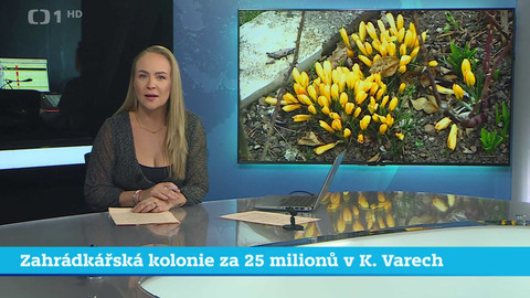 Události v regionech (jih a západ) - 24. března