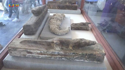 Zprávičky - 1. prosince 2019