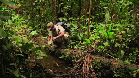 Cestohrátky - Amazonie