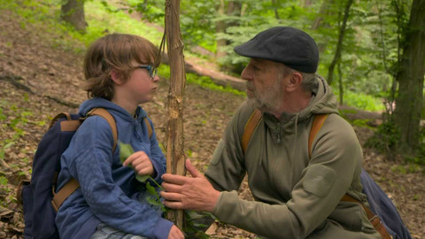 Můj dědeček zálesák - Stopy v lese