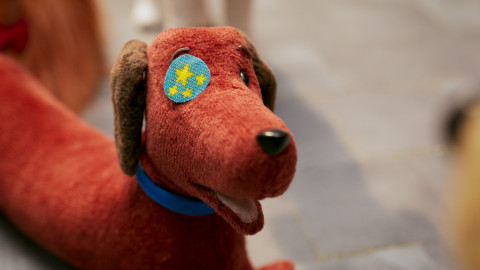 Rusty - 40/52 Líné oko