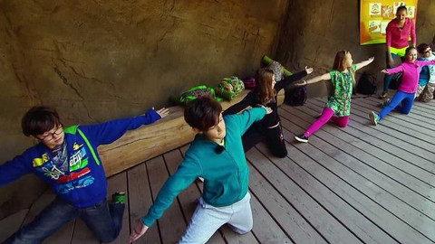 Jogínci na cestách - Brána do ZOO