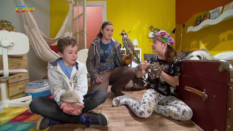 Terčin zvířecí svět - 1. června 2018