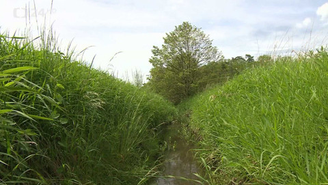 Regiony ČT24 - 1. června 2024