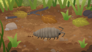 Můj mazlíček a já - roztomilá havěť