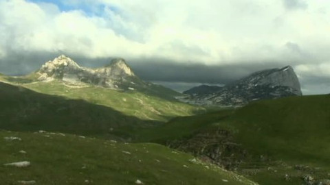 Hvězdy zvířecí říše - 19/32 Nejlepší ptačí tanečník