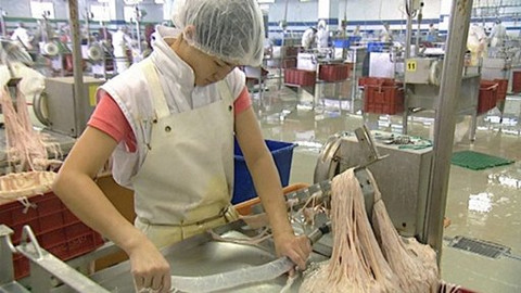 Reportéři ČT - 27. července 2009