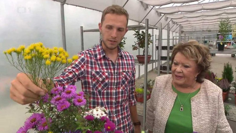 Hobby naší doby - 27. listopadu 2021