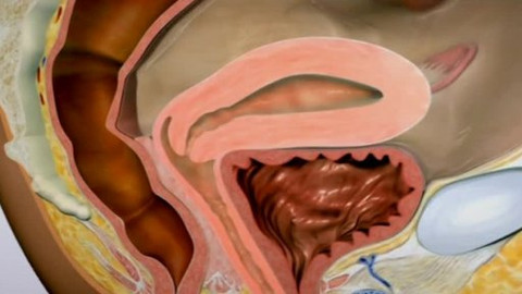 Tep 24 - 25. května 2013