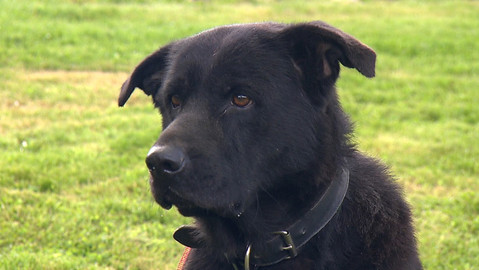 Chcete mě? - Chcete je?