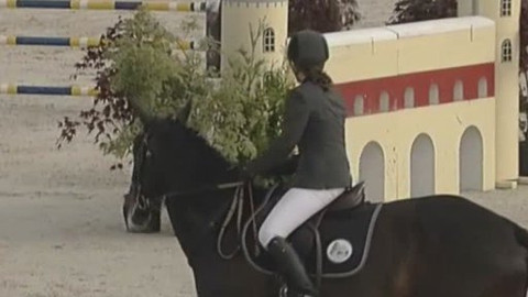 Jezdectví - Český skokový pohár Kolín - Ptýrov