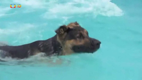 Zprávičky - 25. července 2019