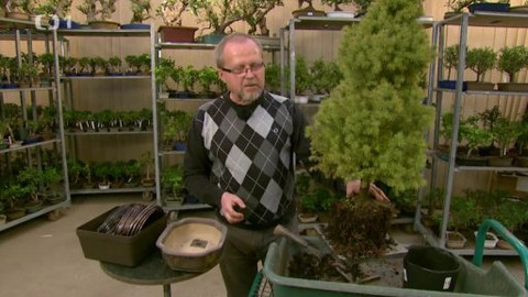 Polopatě - 2. března 2014