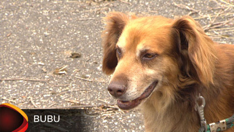 Chcete mě? - Chcete je?