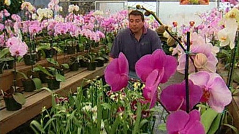 Objektiv - 1. dubna 2007