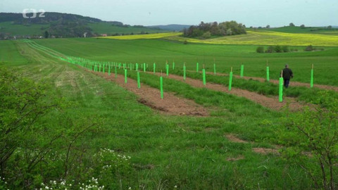 Nedej se! - Jablko sváru