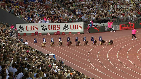 Diamond League - Wanda Diamond League Švýcarsko