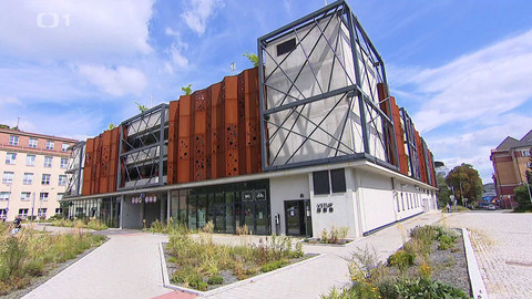 Týden v regionech (Ostrava) - 23. srpna