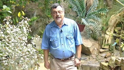 Sváteční slovo - Sváteční slovo speciálního pedagoga Pavla Wienera