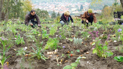 Kouzelné bylinky - Bylinářské koště
