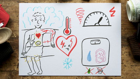 What the Fact? - K čemu je otužování a sauna?