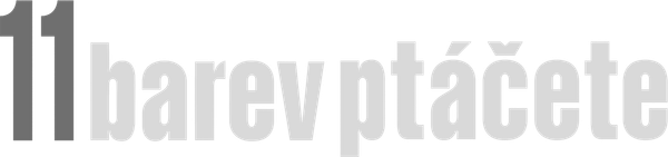 11 barev ptáčete