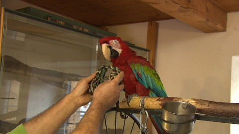 Chcete mě? - 29. března 2020