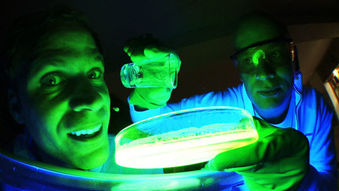 PORT - 3. listopadu 2010