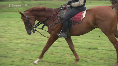 Velká pardubická - Před Velkou pardubickou