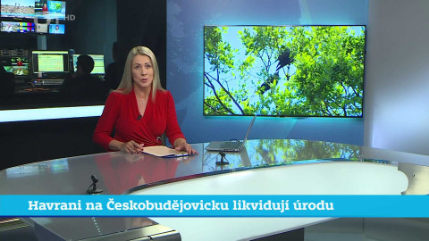 Události v regionech (jih a západ) - 20. května 2024