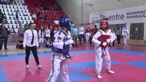 Bojové sporty - 29. listopadu 2019