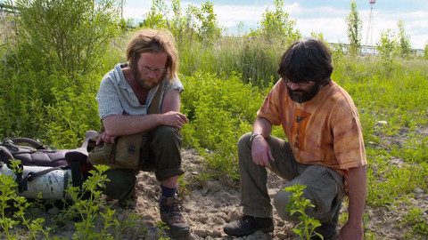 Nedej se! - Městská divočina