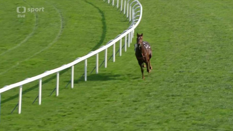 Dostihy - Gomba handicap 2017