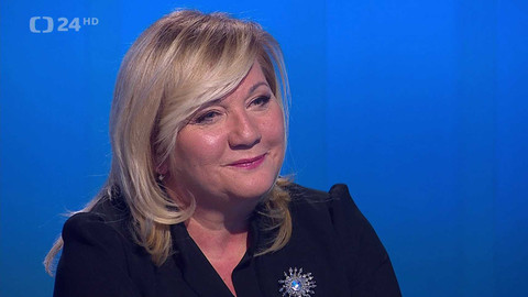 Interview ČT24 - 29. ledna