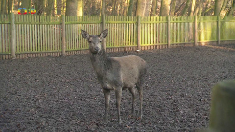 Zprávičky - 13. prosince