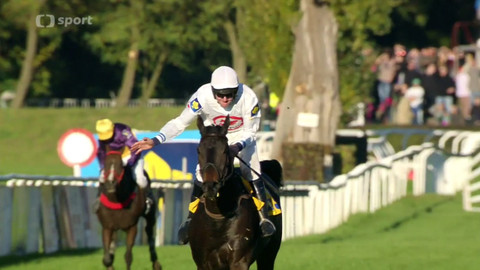 Velká pardubická - 2013