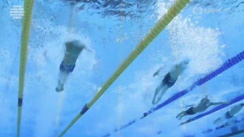 MS v plavání 2025 Singapur - MS Singapur