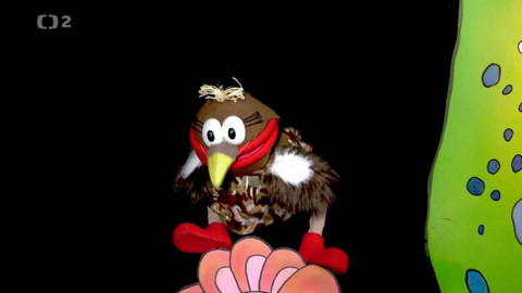 Studio Kamarád - 28. února 2021