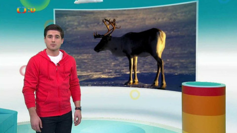 Zprávičky - 6. února 2018