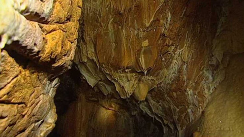 Na větvi - Tajemství Medvědí jeskyně