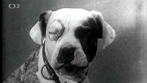 Laurel a Hardy - Ano, Nanynko