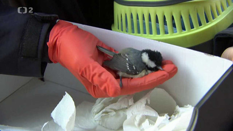 Nedej se! - Záchranáři v městské džungli