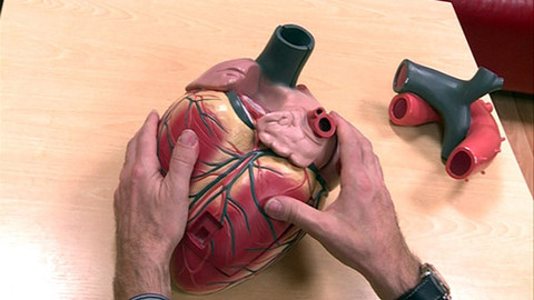 Medicína pro 21. století - Kardiostimulátor a magnetická rezonance