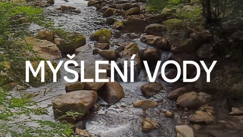 Myšlení vody