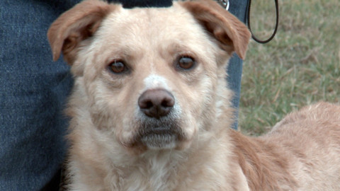 Chcete mě? - Chcete je?