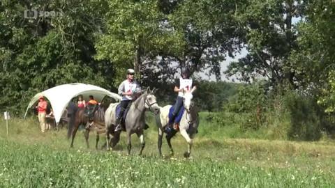 Jezdectví - Mezinárodní závody ve vytrvalosti CEI Chlumec nad Cidlinou