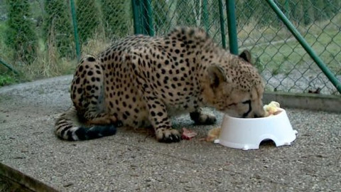 Polopatě - 12. ledna 2014