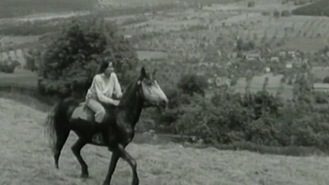 Archiv ČT24 - Trojkové červny