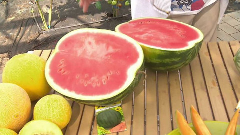 Hobby naší doby - 29. září 2018