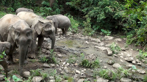Obdivuhodný svět přírody - Záhadné prameny